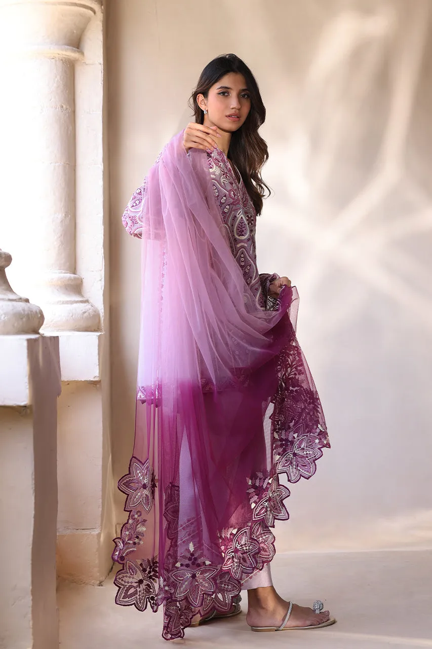 Amna (B)